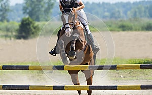 Young rider girl jumping on horse over obstacle