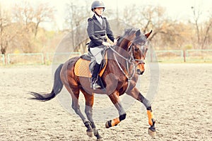 Young rider girl before jumping on show jumping