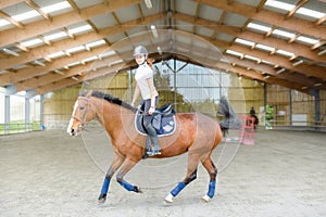 young rider on her horse doing dressage exercises in a horse farm