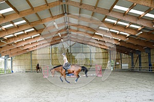 young rider on her horse doing dressage exercises with long reins