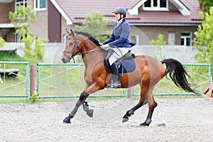 Young rider man on bay horse on equestrian sport