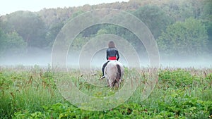 Young rider riding a horse jumps to the fog on the background of beautiful nature