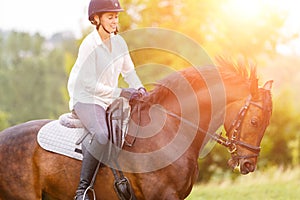 Young rider woman galloping on bay horse on meadow