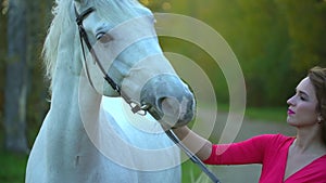 Young romantic girl in red dress walking with white horse against the sun. Woman Rider with her stallion in autumn