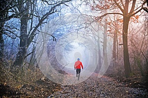 Young runner run in morning cold winter forest in the morning. Active photo, athlete during training. Red clothes make nice