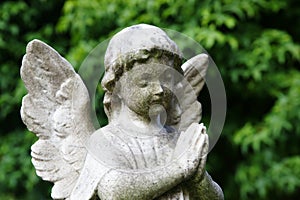 Young sad stone angel in colour praying