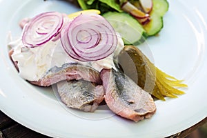 Young salted fish called soused or matjes herring with sour cream, gherkin and red onions, served with salad on a white plate, photo