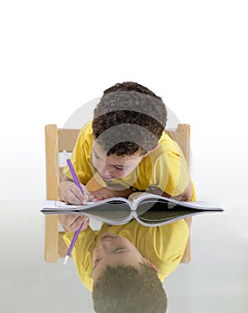 Young Schoolboy Studying with Concentration