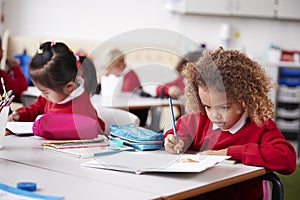 Young schoolgirl wearing school uniform sitting at a desk in an infant school classroom drawing, close up photo