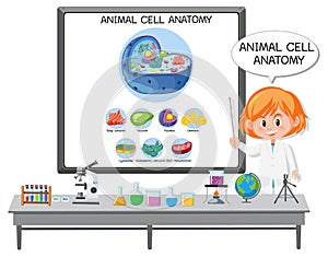 Young scientist explaining the anatomy of the animal cell Biology Diagram