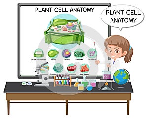 Young scientist explaining the anatomy of the plant cell (Biology Diagram photo