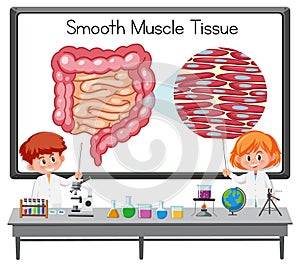 Young scientist explaining smooth muscle tissue in front of a board with laboratory elements