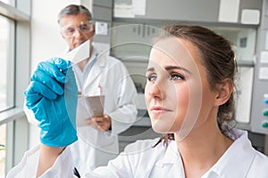 Young scientist looking at slide