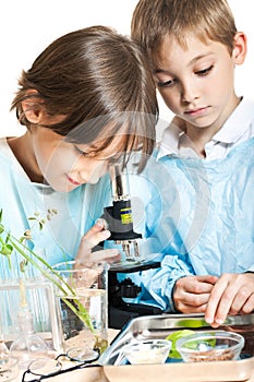 Young scientists