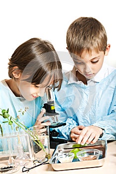 Young scientists