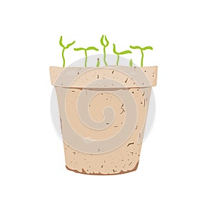 A young seedling in a vintage clay pot isolated on a white background. Vector illustration.