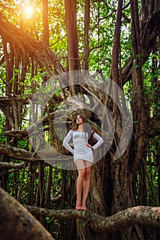 Young sexy barefoot girl in short white dress poses on big banyan tree.  Long-legged brunette stands among the branches of a tree