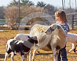 Young sheep lover