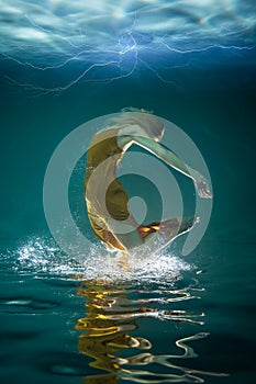 Young Slender Girl Underwater. Water Magic. Underwater Photography. Art