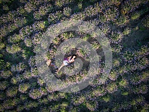 Young slim fair-skinned girl brunette beautiful lies in lavender field.Top view