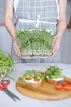 Young slim woman holding microgreen sprouts close up