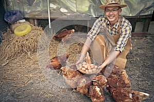 Young smart farmer wear plaid long sleeve shirt brown apron are holding fresh chicken eggs into basket at a chicken farm in him ho