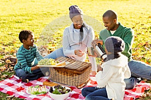 Young smiling family doing a picnic