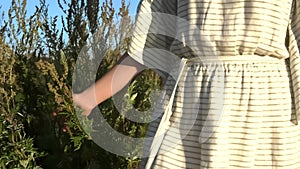 A young smiling lady with multicolored hair is walking in a field and touching grass in slowmo