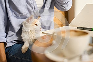 Young smiling woman in cafe with cute small cat sitting at table with laptop, female freelancer online work concept