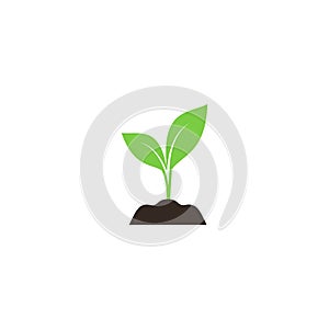 Young sprout in soil colorful vector icon.