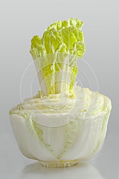 Young sprouts cabbage pe-tsai