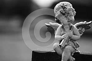 Young stone angel in monochrome with a flute.