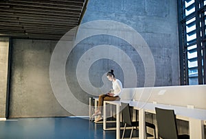 Young student or businesswoman sitting on desk in room in a library or office, using laptop.