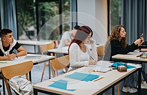 Young students engaged in study at modern classroom setting