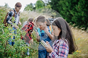 Young students learning about nature, forest ecosystem during biology field teaching class, observing wild plants with