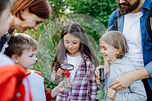 Young students learning about nature, forest ecosystem during biology field teaching class, observing wild plants with