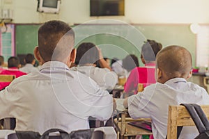 Young students are studying in classroom.