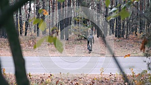 Young stylish professional male cyclist in black helmet and sports sunglasses pedaling on cyclocross bike through autumn park. Rea