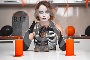 Young sullen woman with scary makeup in skeleton costume examines dachshund puppy on table, apartment is decorated for