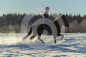 Young Swedish woman riding her Icelandic horse in deep snow and sunlight