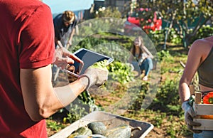 Young team pick up organic vegetables from inside eco village while planning season harvest for local market - Focus on man hand