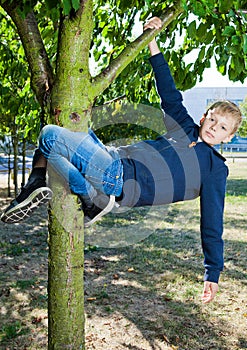 Young teenage boy hanging on tree happy childhood