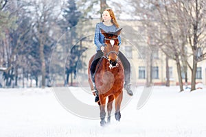 Young teenage girl with bay horse in winter park