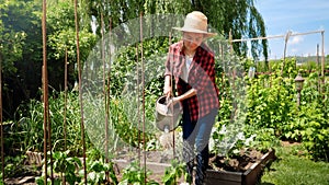 Young teenage girl holding watering can and working in backyard garden. Woman gardening and growing fresh organic