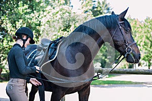 Young teenage girl owner harnessing bay stallion for training