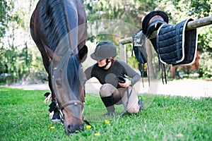 Young teenage girl owner harnessing bay stallion for training