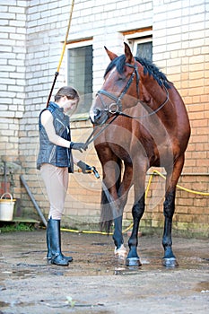 Young teenage lady equestrian washing her brown horse in shower