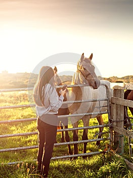 Young teenager girl by a metal gate to a field with horses at sunset. Soft and light airy mood. Selective focus. Warm color tone.