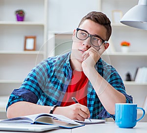 Young teenager preparing for exams studying at a desk indoors