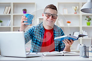 The young teenager preparing for exams studying at a desk indoors